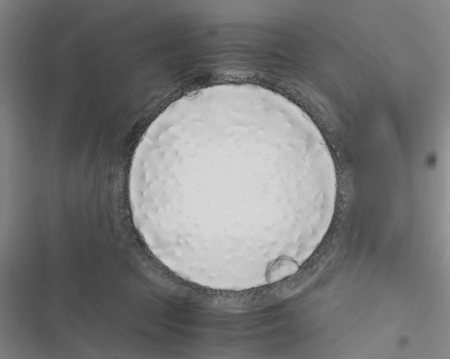X0000116420369201001191455