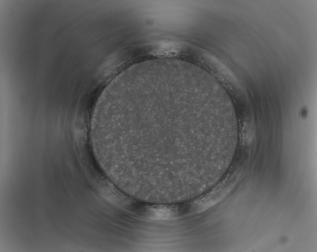 X0000116420370201001191455