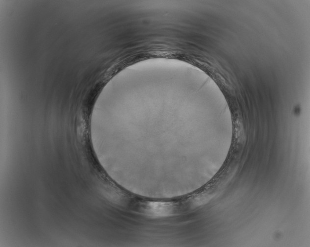 X0000116420371201001191455