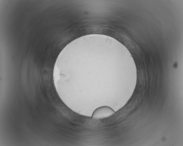 X0000116420374201001191455
