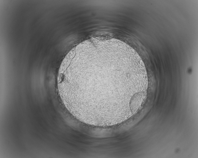 X0000116420375201001191455