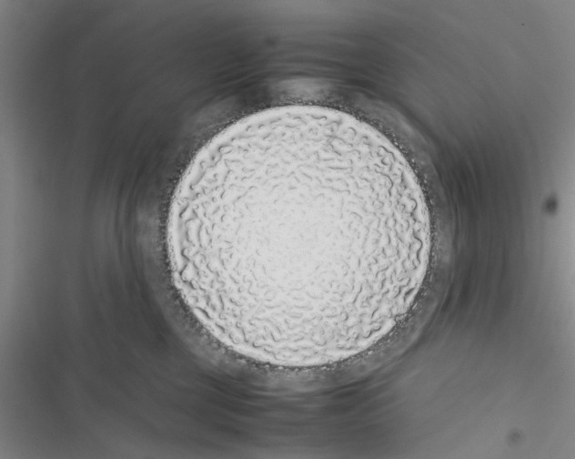 X0000116420377201001191455