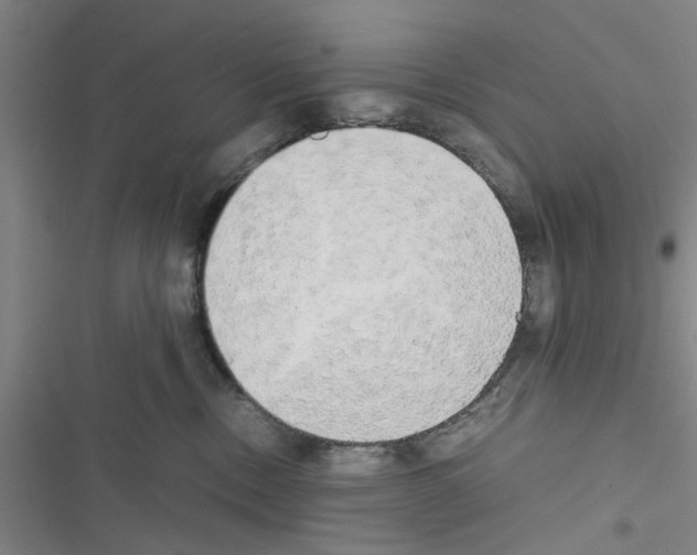 X0000116420378201001191455