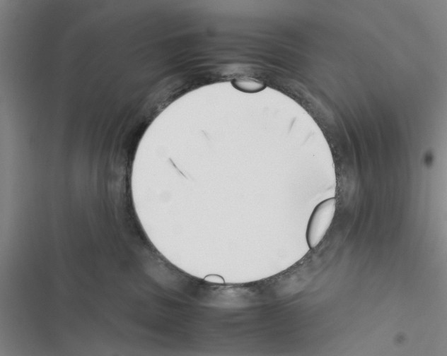 X0000116420379201001191455