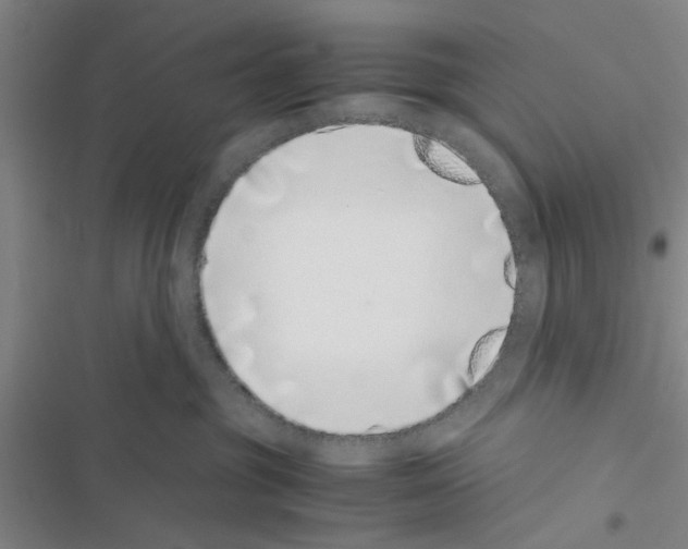 X0000116420381201001191455