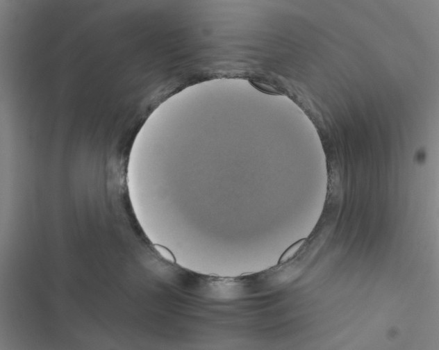 X0000116420383201001191455