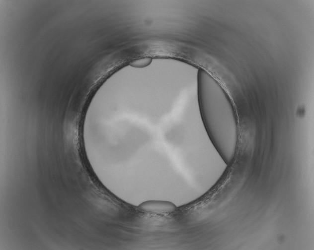 X0000116420386201001191454