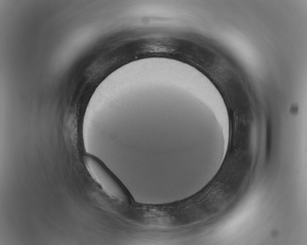 X0000116420387201001191454