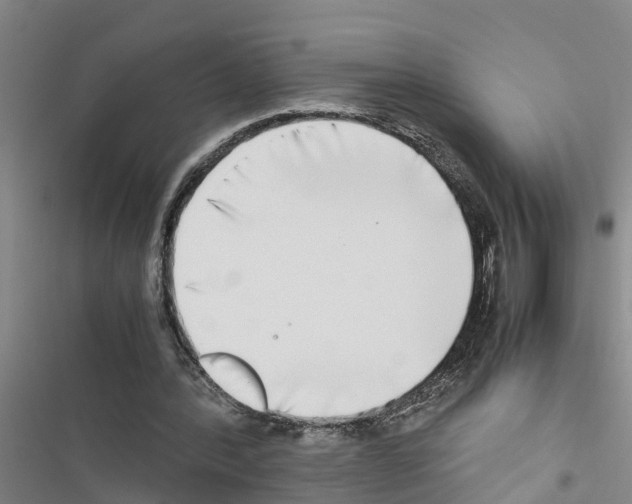 X0000116420388201001191454