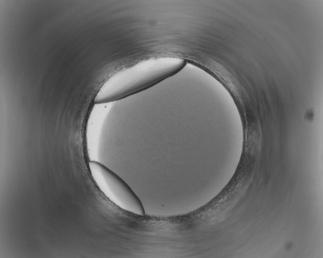 X0000116420389201001191454