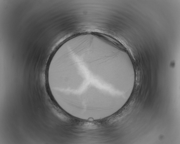 X0000116420390201001191454