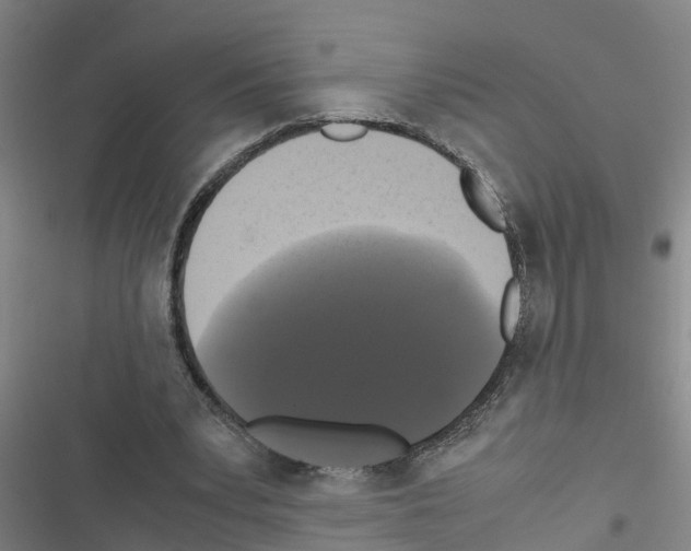 X0000116420391201001191454