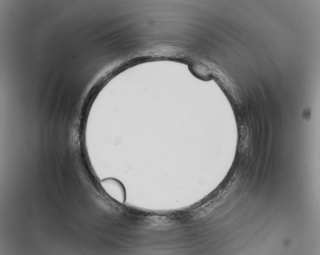 X0000116420392201001191454