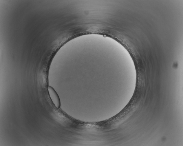 X0000116420393201001191454