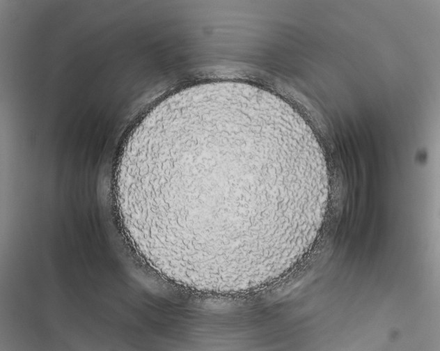 X0000116420394201001191454