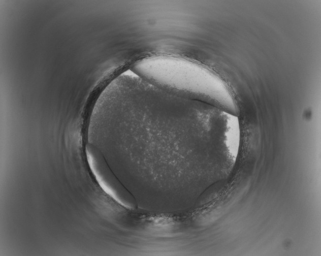 X0000116420395201001191454
