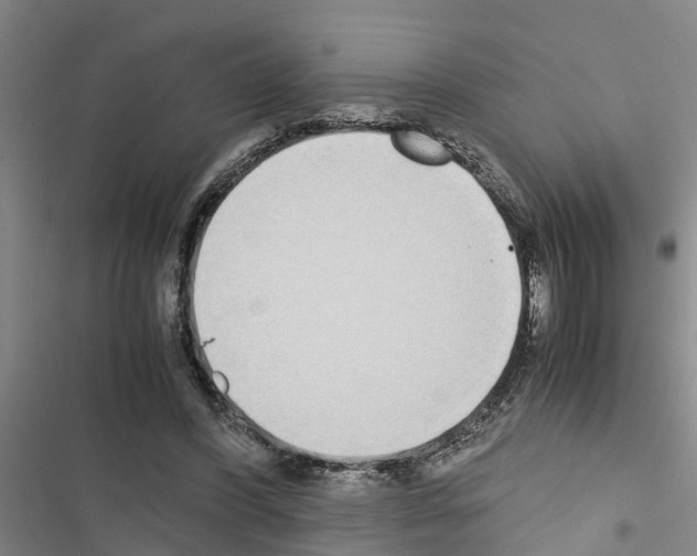 X0000116420396201001191454