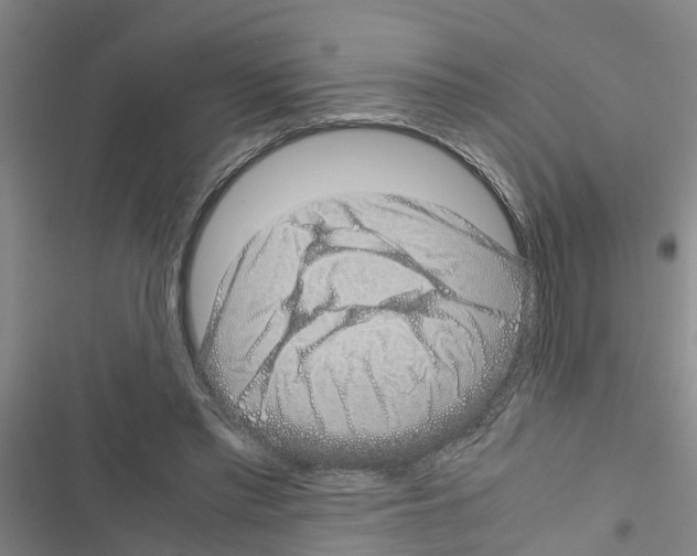 X0000116420397201001191454