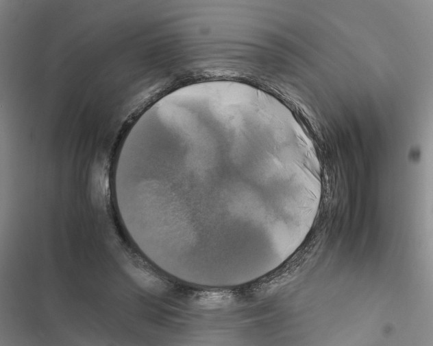 X0000116420398201001191454