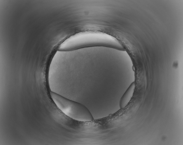 X0000116420399201001191454