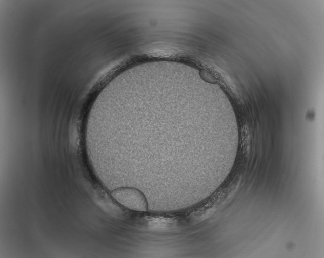 X0000116420400201001191454