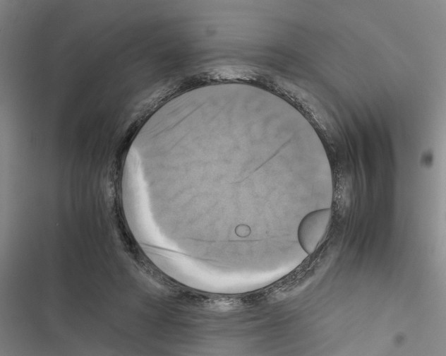 X0000116420402201001191454