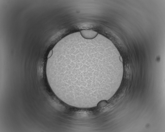 X0000116420404201001191454