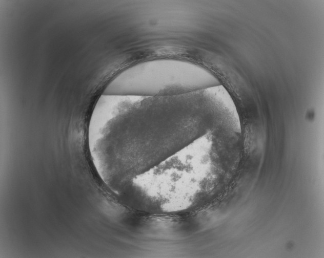 X0000116420405201001191454
