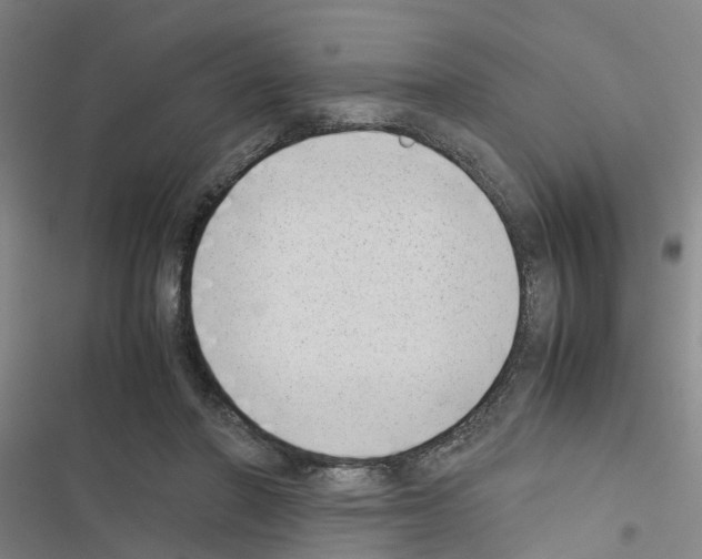 X0000116420406201001191454
