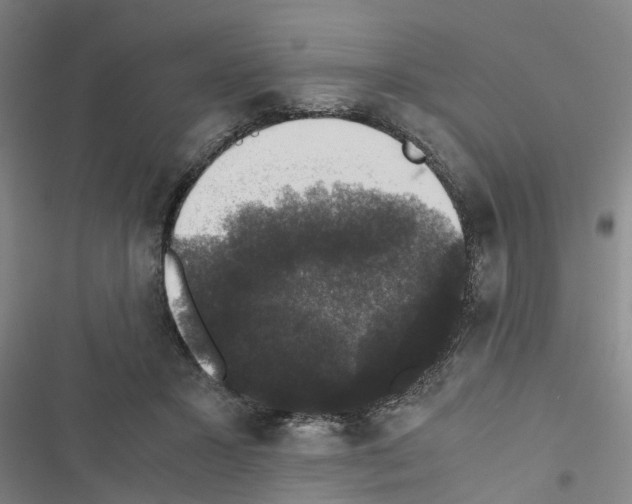 X0000116420407201001191454