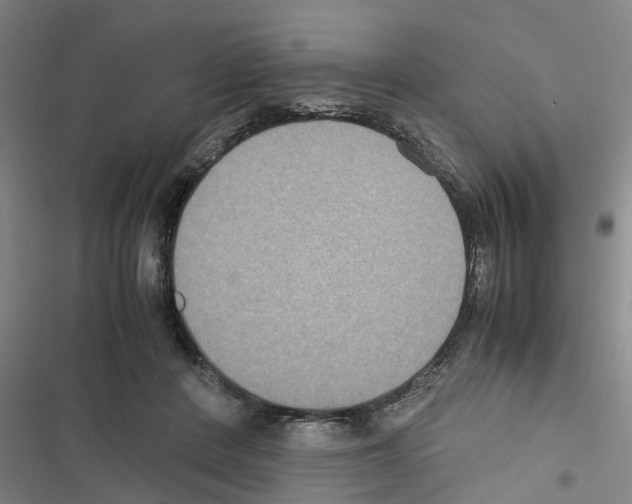 X0000116420408201001191454