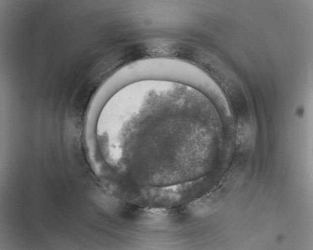 X0000116420409201001191454