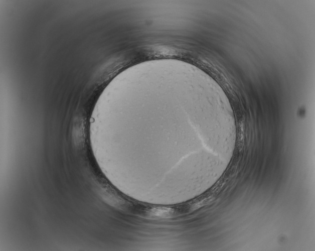 X0000116420410201001191454