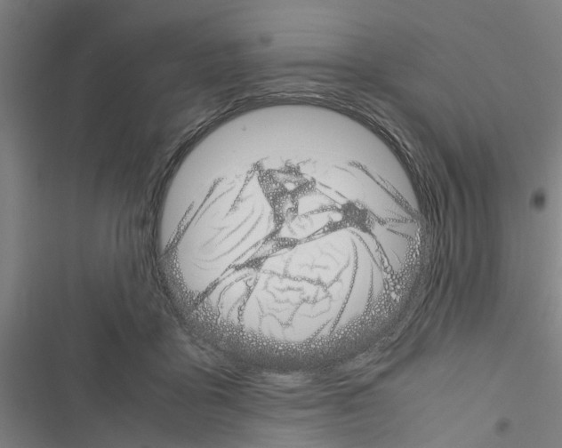 X0000116420411201001191454