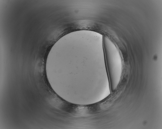 X0000116420413201001191454