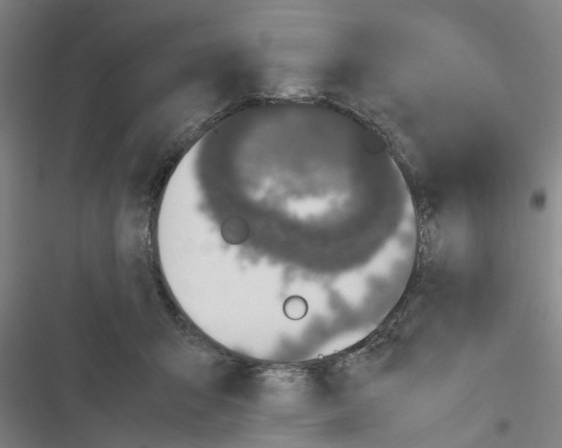 X0000116420415201001191454