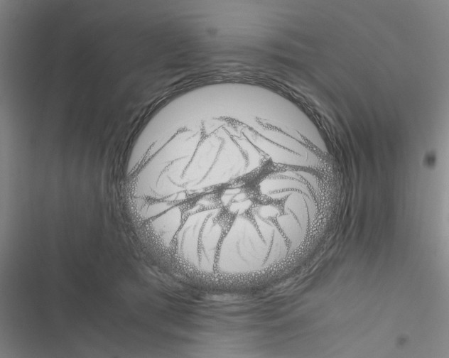 X0000116420417201001191454