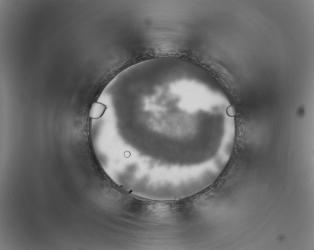 X0000116420419201001191454
