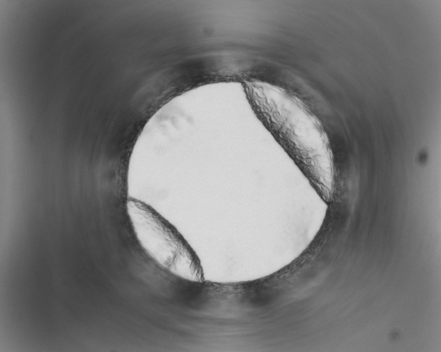 X0000116420421201001191454