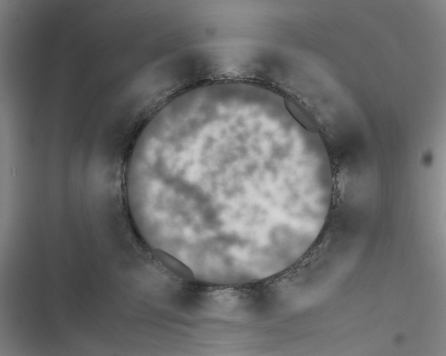 X0000116420423201001191454