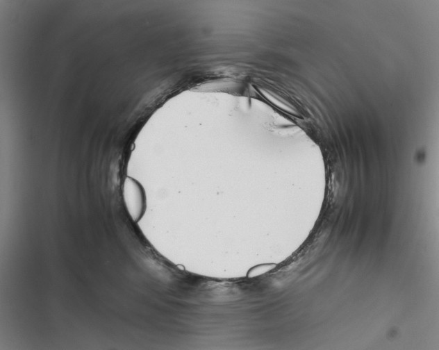 X0000116420424201001191454