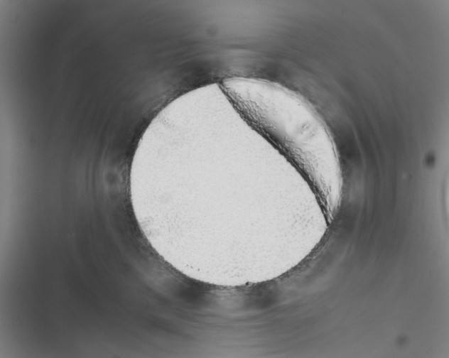 X0000116420425201001191454