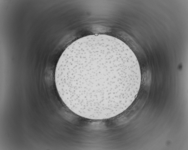 X0000116420426201001191454