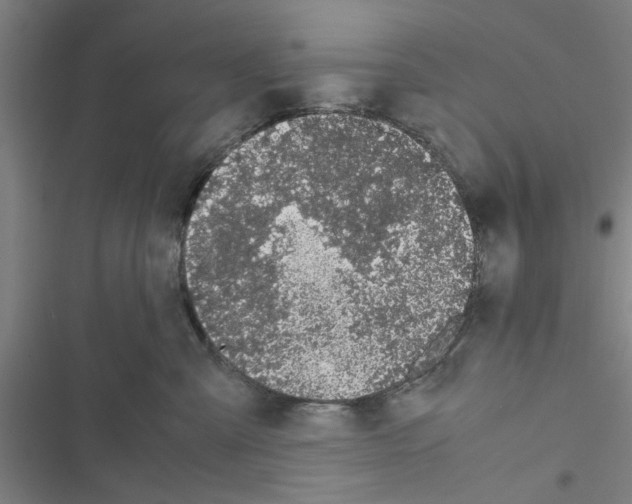 X0000116420427201001191454