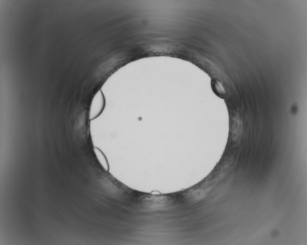 X0000116420428201001191454