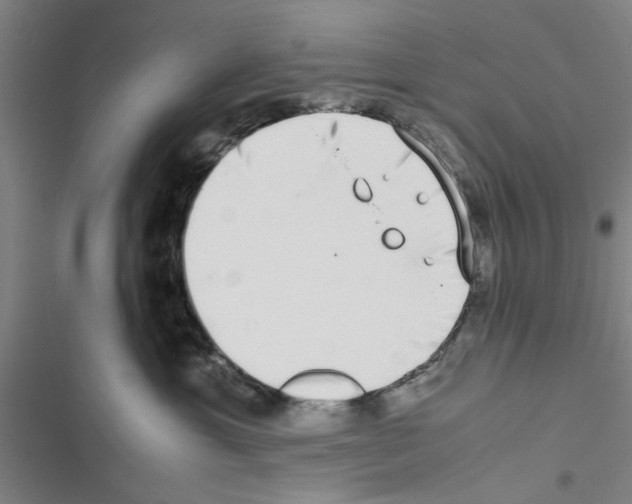 X0000116420429201001191454