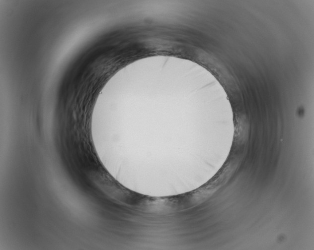 X0000116420430201001191454