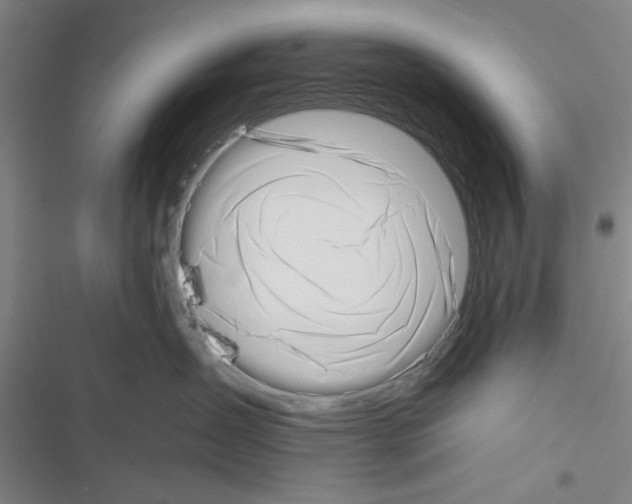 X0000116420431201001191454