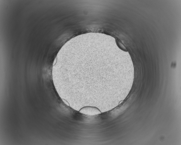 X0000116420432201001191454