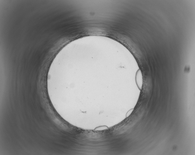 X0000116420433201001191453